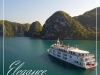 Du thuyền Hạ Long Paradise Elegance Cruise 2 ngày 1 đêm Ưu đãi