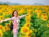 Tours Central 4 days exploring the Sunflower Festival from Saigon