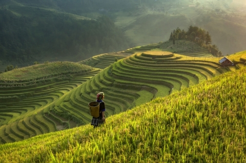 Tour Du lịch Mù Cang Chải Trạm Tấu Yên Bái 3 ngày 2 đêm