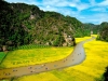 Hoa Lu Tam Coc 1 day tour Ninh Binh