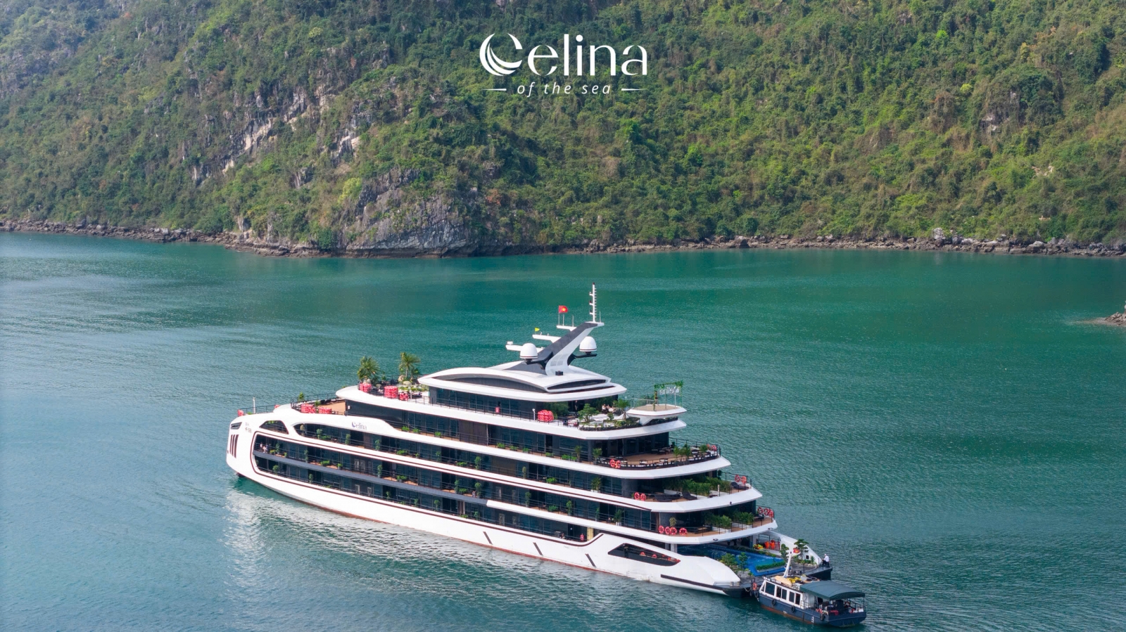 Du_thuyen_celine_cruise