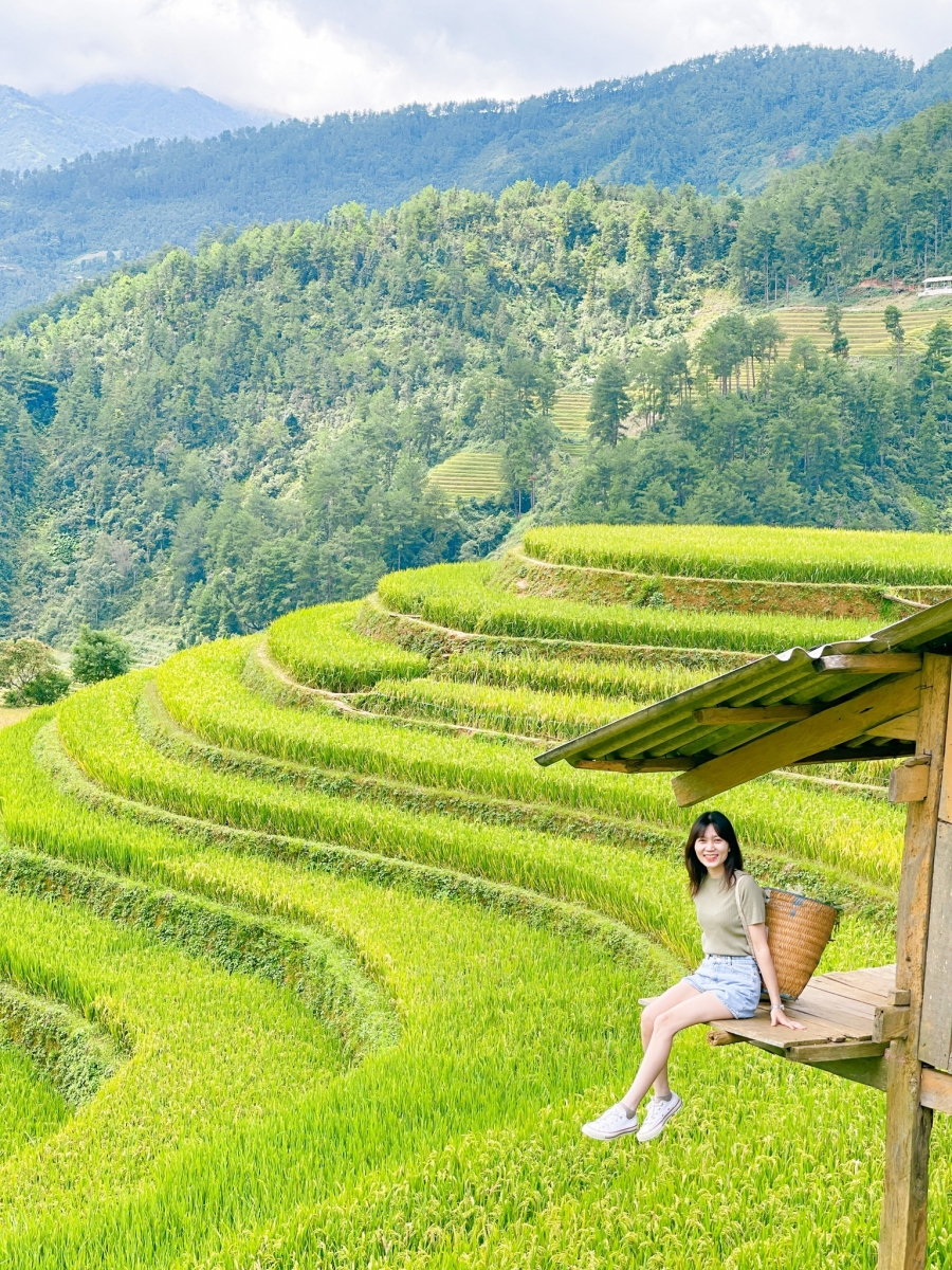 check in mù cang chải yên bái